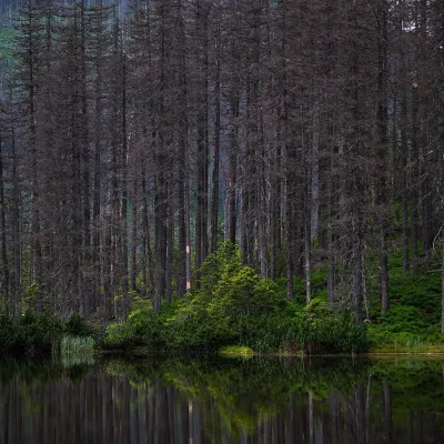 Smreczyński Staw Lake — 3