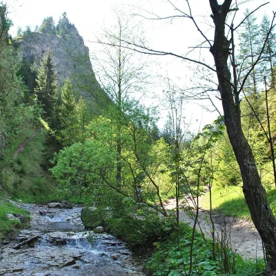 Wąwóz Homole