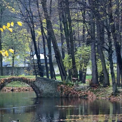Zamek w Suchej Beskidzkiej (Mały Wawel) — 5