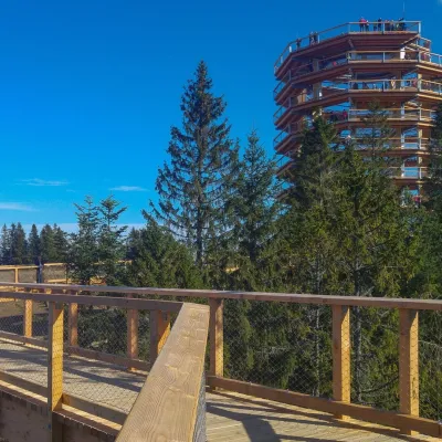 Стежка в кронах дерев Бахледка — 4