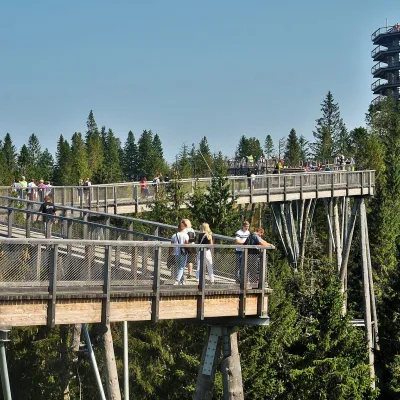 Bachledka Treetop Walk