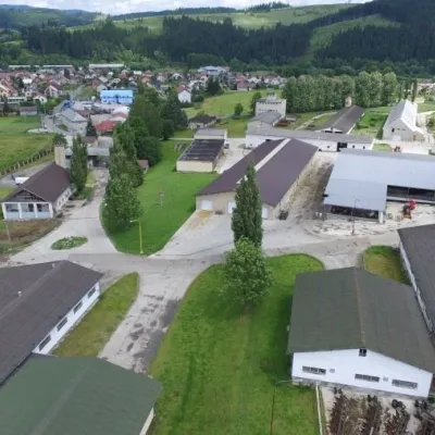 Farma w Rakovej na Kysucach: bryndza, žinčica i serowe torty