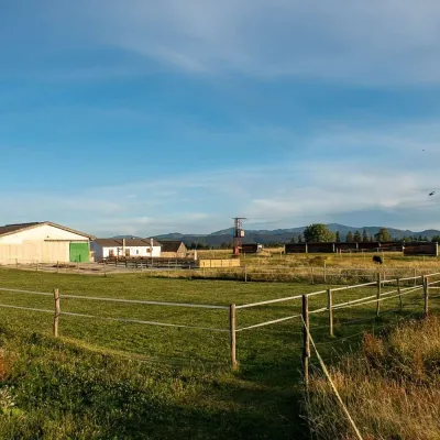 Kone vo Východnej: horse rides below the Tatras — 5