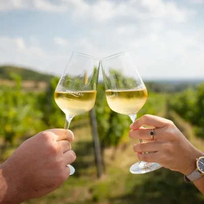 Winiarnia MEA GRATI w Ladmovcach: degustacje wśród winnic Tokaju — 3