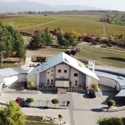 Winiarnia Pivnica Orechová pod Vihorlatem: degustacje w piwnicy — 2