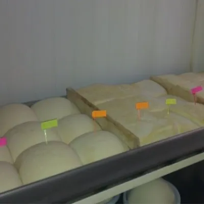Salaš Orlové near Považská Bystrica: cheese, bryndza, žinčica