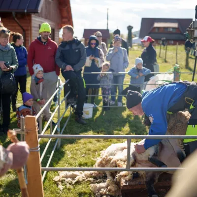 Salaš pod Maginhradom: Gemer sheep’s cheese and the Mitrovanie feast — 3
