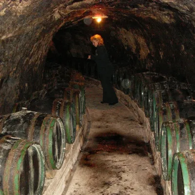 Tokaj & CO w Malej Tŕni: degustacja w piwnicy długości 2,5 km — 2