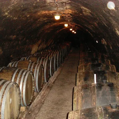 Tokaj & CO w Malej Tŕni: degustacja w piwnicy długości 2,5 km — 3