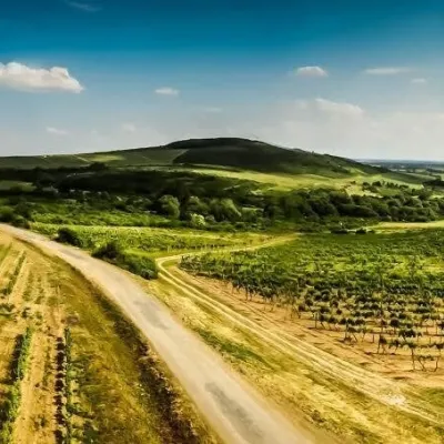 Tokaj Macik Winery у Малій Трні: біовинарня й дегустація в погребі — 5