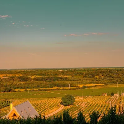 Винарня Tokaj Gold у Віничках: туфовий погріб серед виноградника — 4