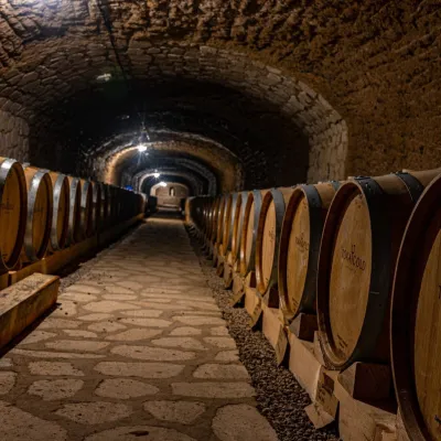 Winiarnia Tokaj Gold w Viničkach: tufowa piwnica w winnicy