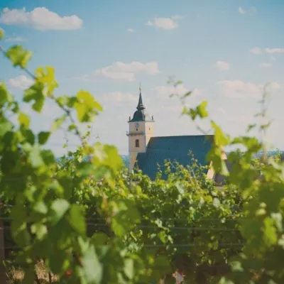 VIAJUR winery in Svätý Jur: tastings in the Pálffy cellars — 2