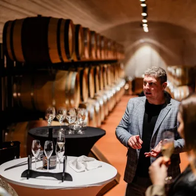 VIAJUR winery in Svätý Jur: tastings in the Pálffy cellars — 3