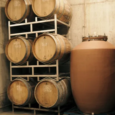 Winiarnia Magula w Suchej nad Parnou: wina biodynamiczne i farma — 3