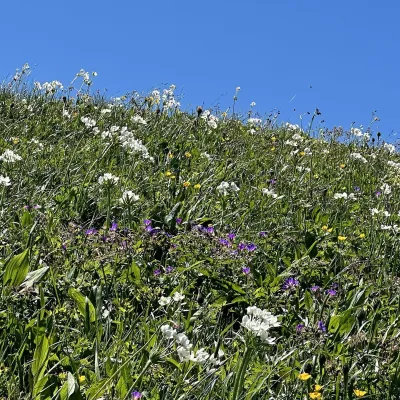 The hole of Malá Fatra: Chleb, Snilovské sedlo and Hromové
