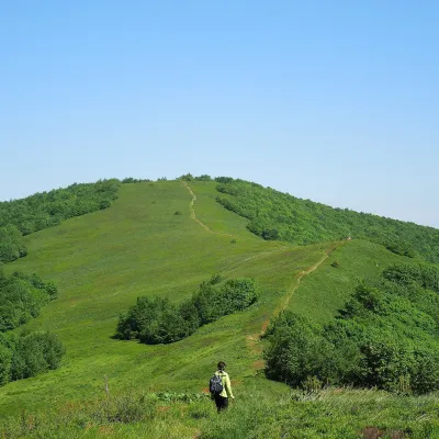 Полонини Дюрковця і Пляші
