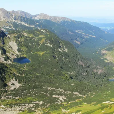 Рогацькі плеса