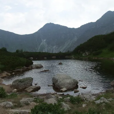 Рогацькі плеса — 4