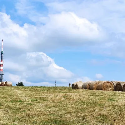 Łąki Wielkiej Jaworzyny – najwyższej góry Białych Karpat
