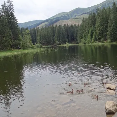 Vrbické pleso w Dolinie Demianowskiej — 4
