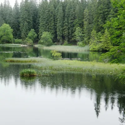 Vrbické pleso w Dolinie Demianowskiej — 5