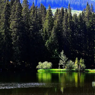 Vrbické pleso w Dolinie Demianowskiej — 3