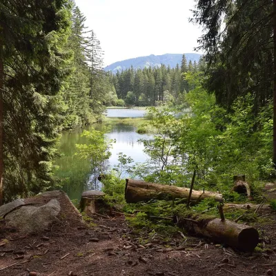 Vrbické pleso w Dolinie Demianowskiej — 2