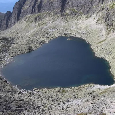 Wahlenbergove plesá — 2