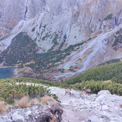 Zelené pleso (Kežmarské) — 4