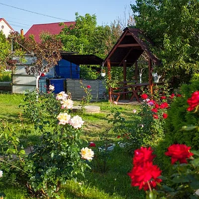 "Петрівська садиба" Берегово Виноградна,60 — 2