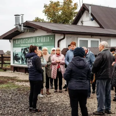 Буйволина ферма «Карпатський буйвіл», Виноградів — 5