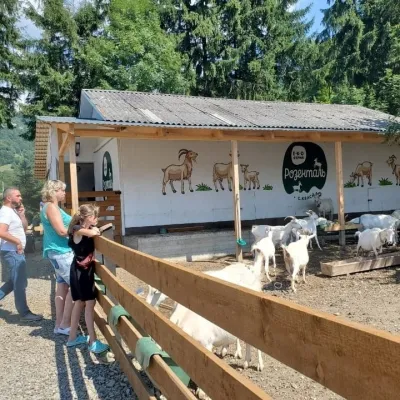 Ekofarma i serowarnia „Rozental”, Kwasy — 2