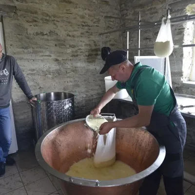 Ekofarma i serowarnia „Rozental”, Kwasy — 5