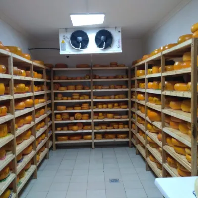 Сироварня «Добрі Ґазди», Михайлівка