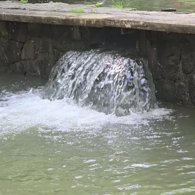 Kołyba „Nad Potokiem”, Polana — 3