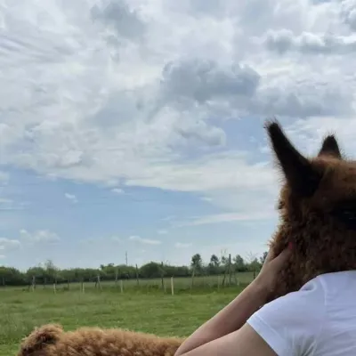 Ферма Magnificent Farm, Батьово — 3
