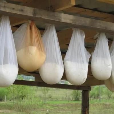 Blahorodna Koza goat farm, Nyzhnia Apsha — 3