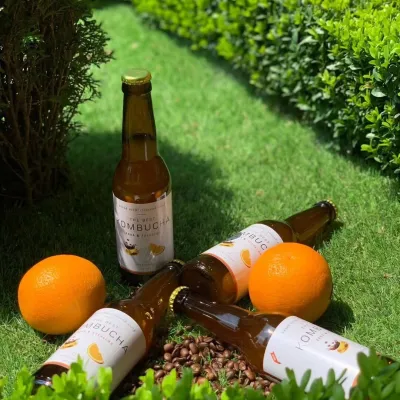 The Best Kombucha, Khust — 3