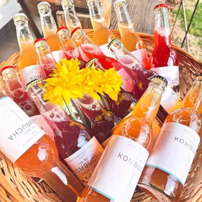 The Best Kombucha, Khust — 4