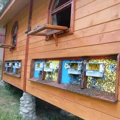 Lendel family breeding apiary, Zahattia — 5