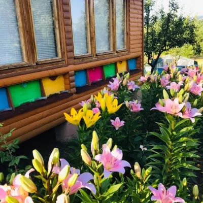 Lendel family breeding apiary, Zahattia — 4