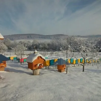 Lendel family breeding apiary, Zahattia — 2