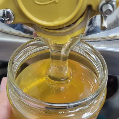 Pcholnik honey, Mukachevo — 3