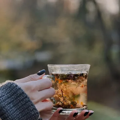 Yizhak z Lisu Carpathian Teas, Truskavets — 3