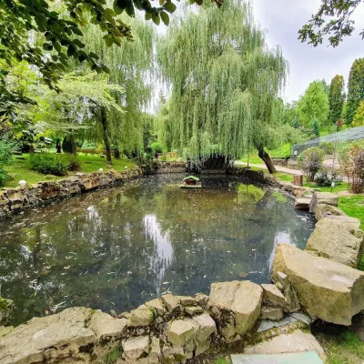 Pidhiria Landscape Park, Truskavets — 3