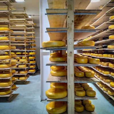 Farma mleczna „Mukko”, Uhersko — 2