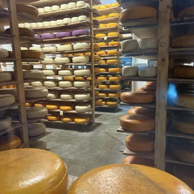 Farma mleczna „Mukko”, Uhersko — 5