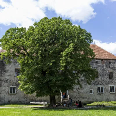 Zamek St Miklos Chynadiyovo — 4