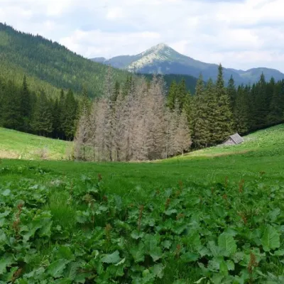 Polonyna Blazhiv — 2